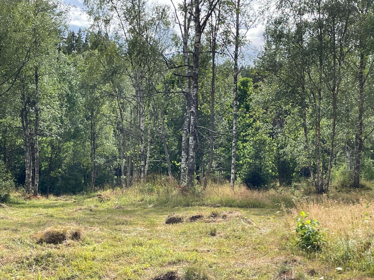 Fairway(?) hole 17…