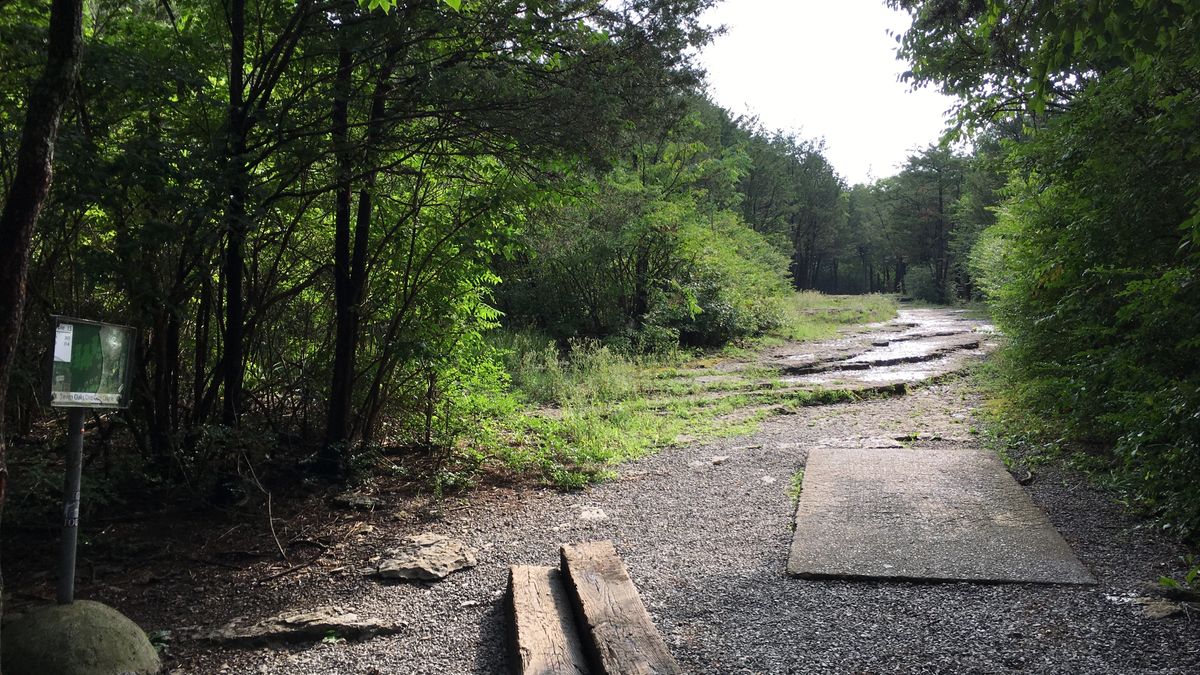 Hole 15