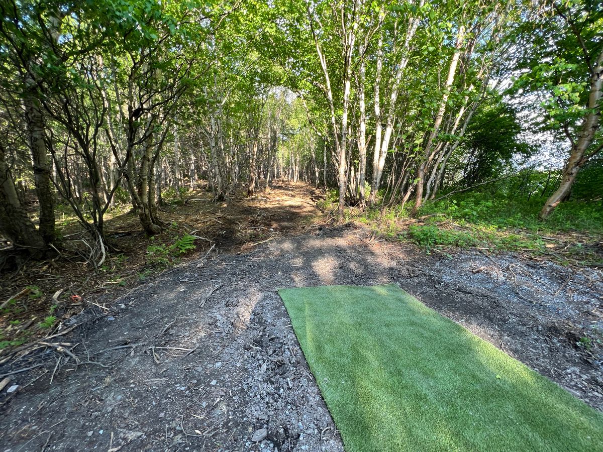 Hole 16 (7th hole on blue loop)
