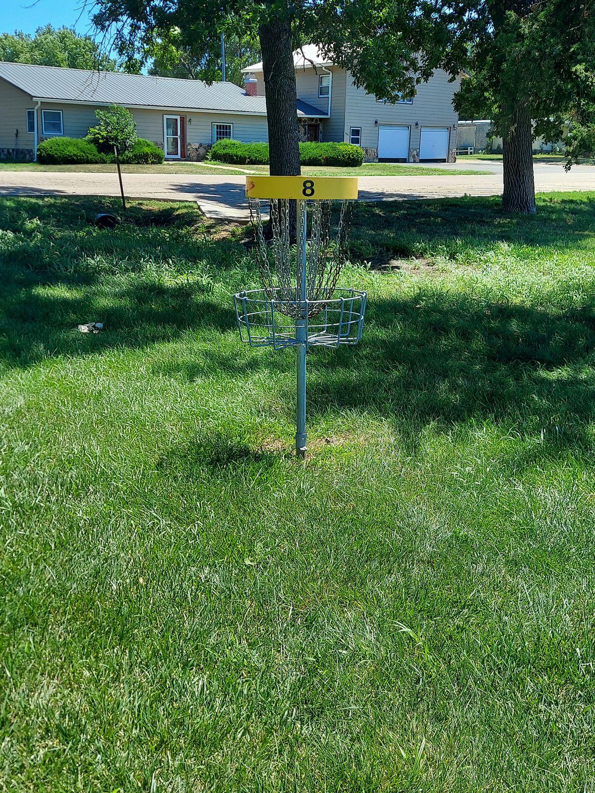 Hole 8 basket