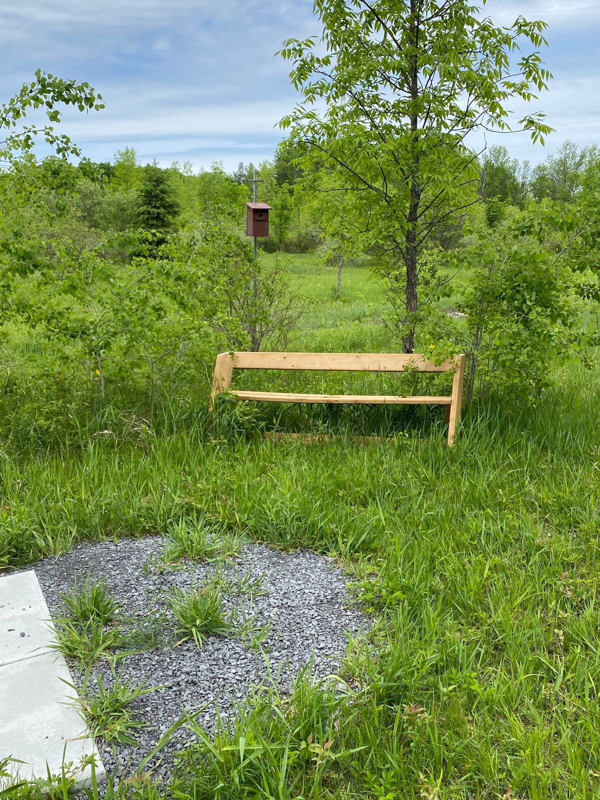 One of the 25 bird boxes on the course… all occupied