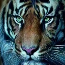 User avatar image