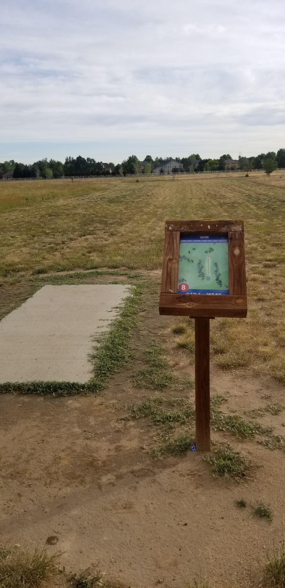 There are trees and bushes on the tee box sign. But none on the course.