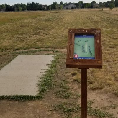 There are trees and bushes on the tee box sign. But none on the course.