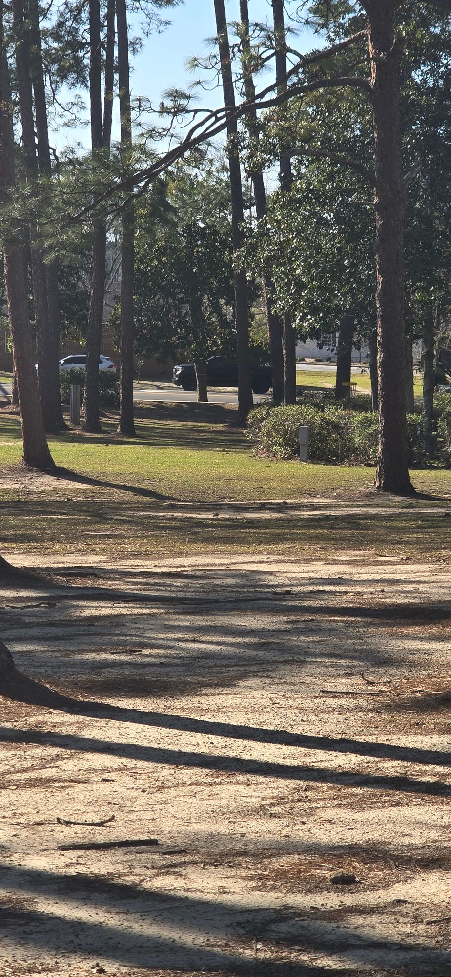 From hole 12 tee pad