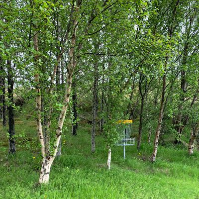 6th hole