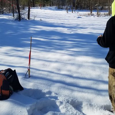 Course photo