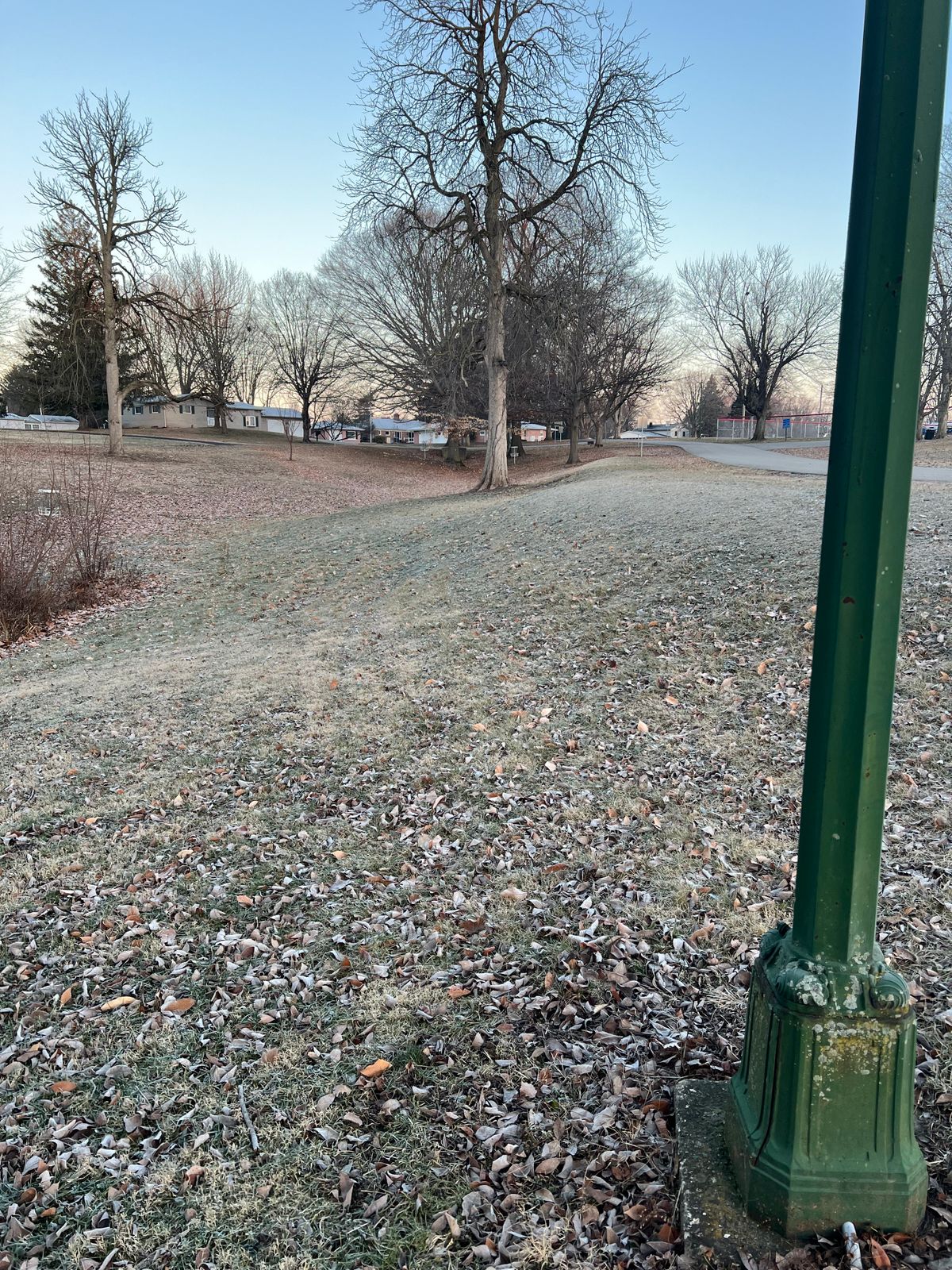 #6 Tee