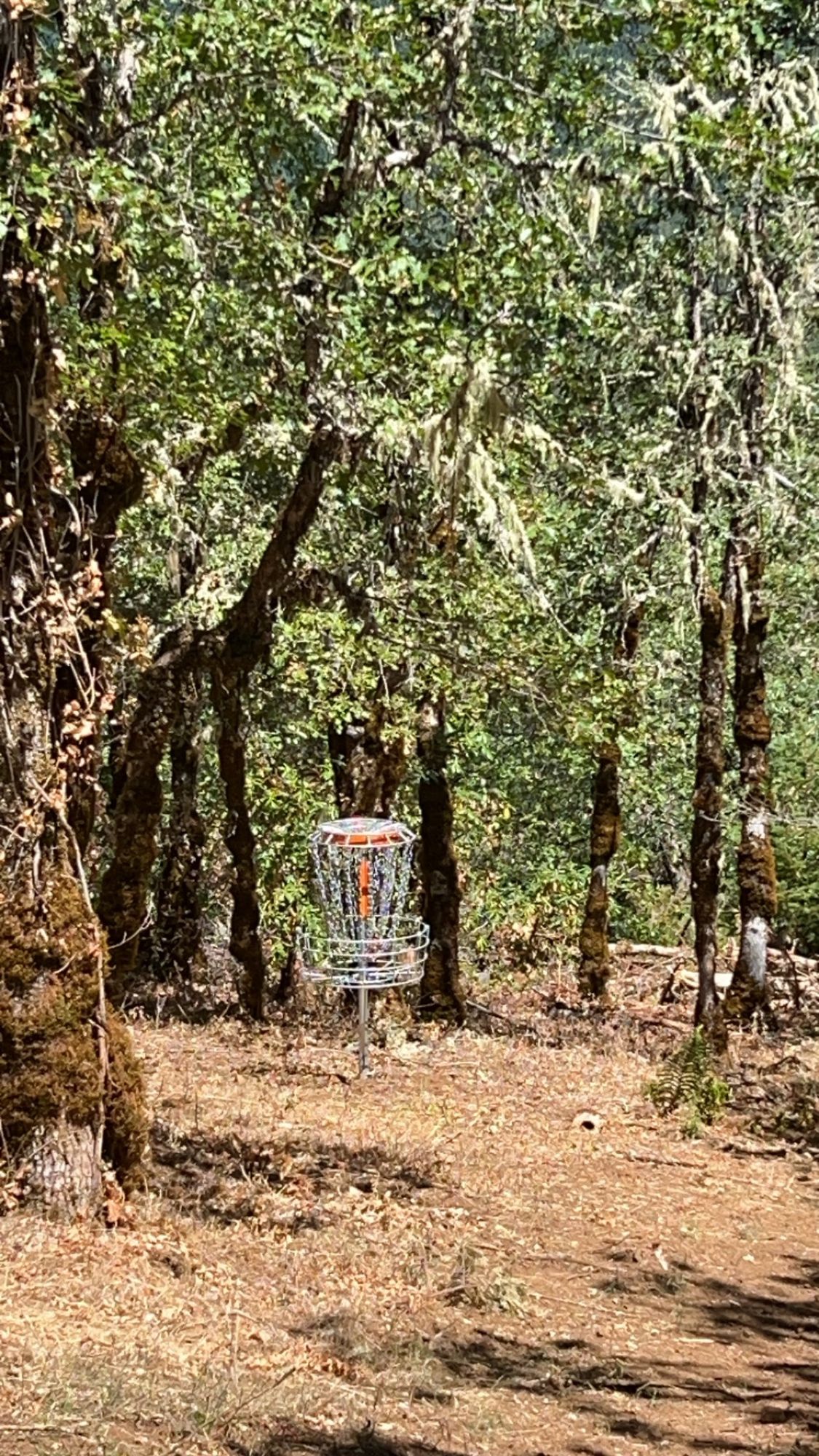 Hole 12