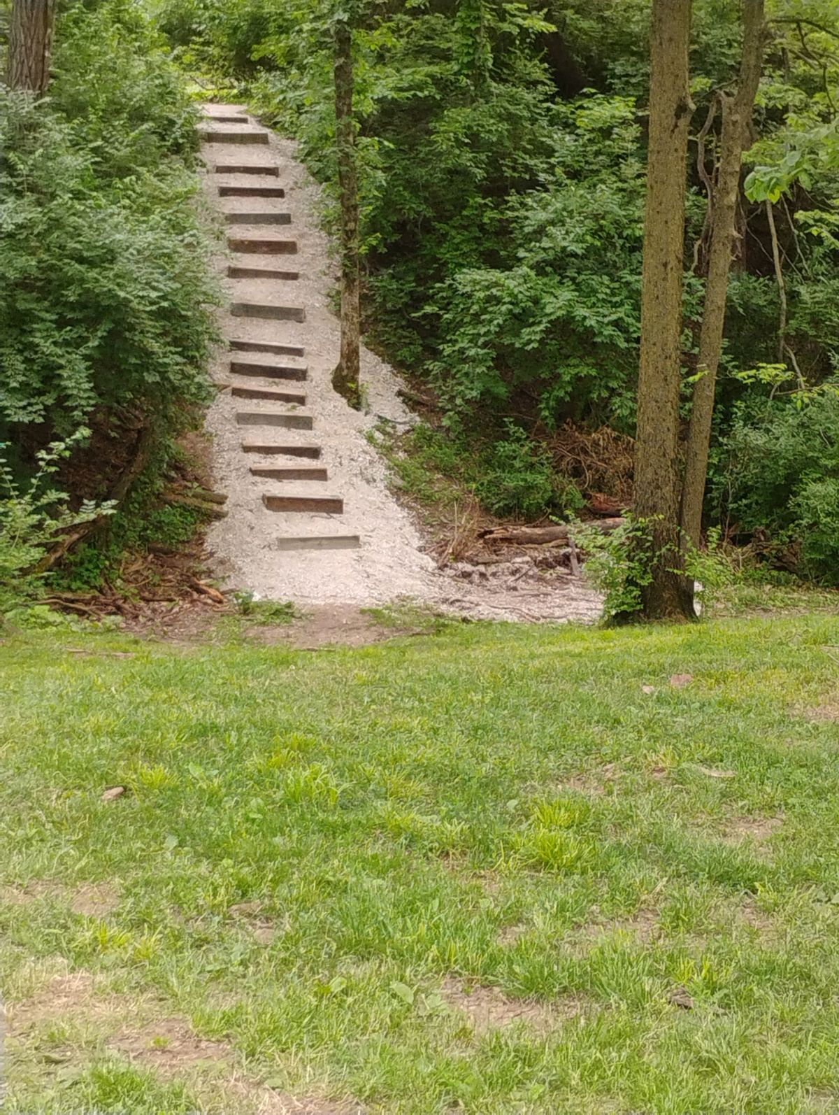 6 basket looking back towards tee pad