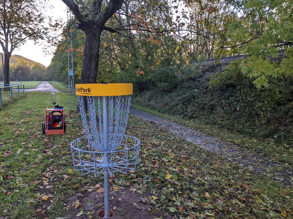 Basket 5 looking in the direction of tees for hole 6