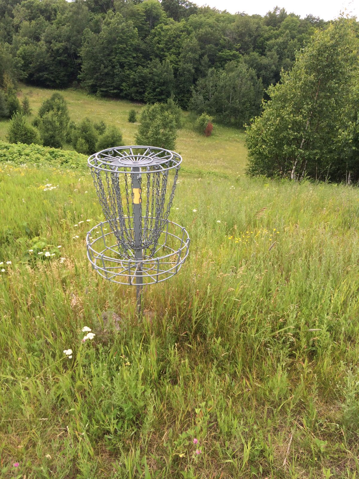 Hole 17 looking backwards