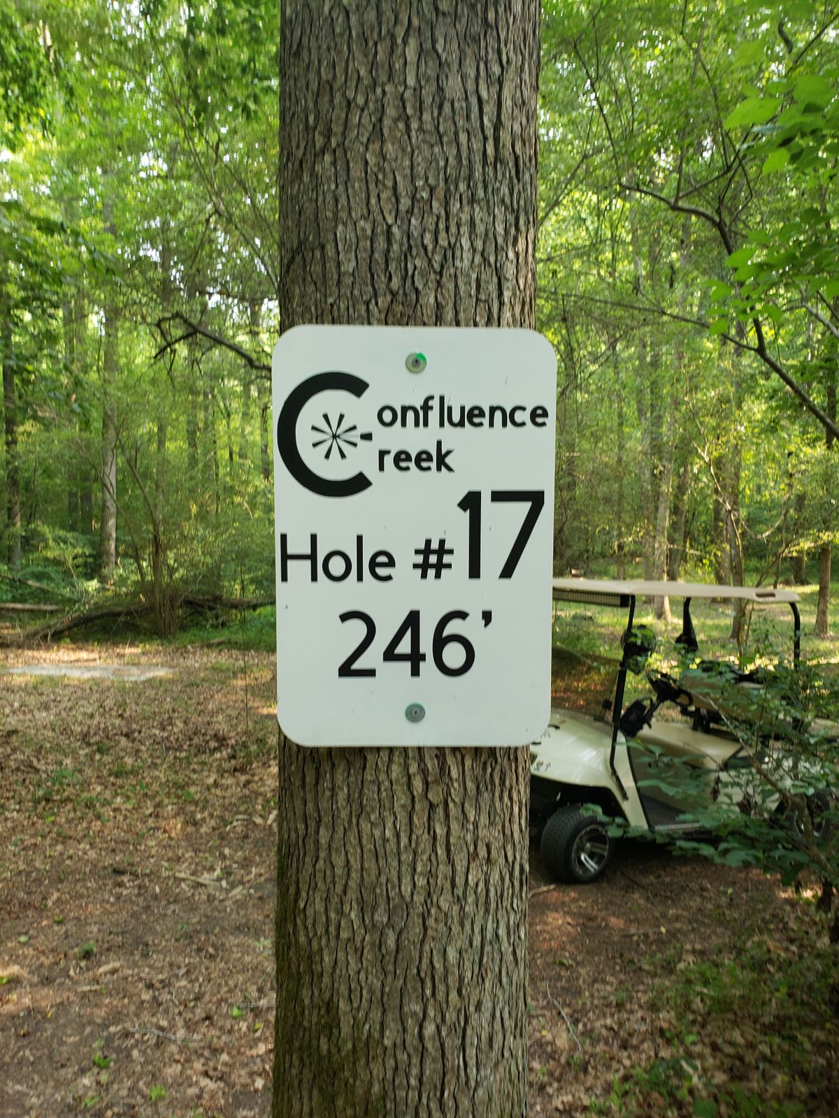 Hole 17 tee sign
