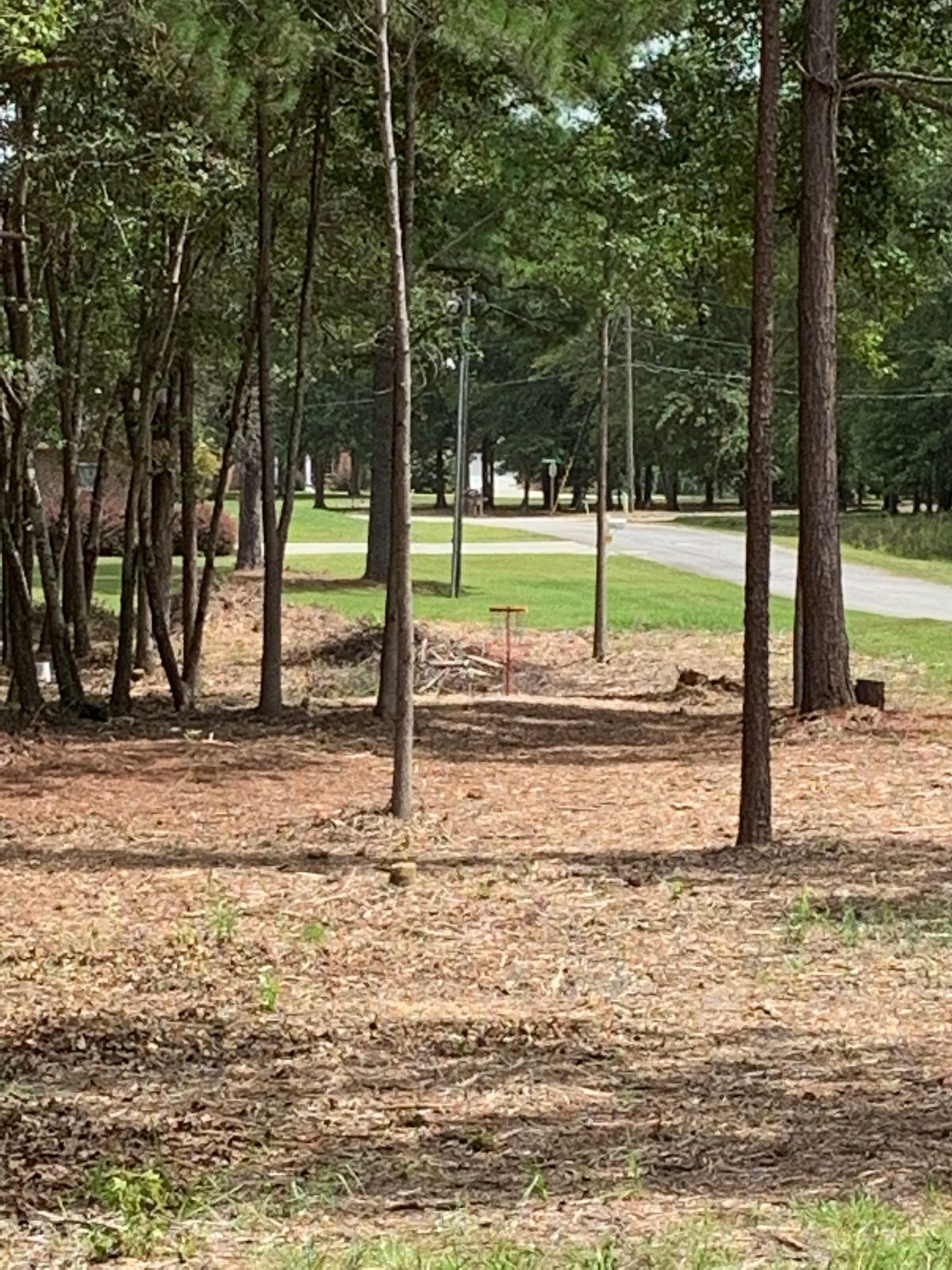 Approach from tee pads 12 & 16, red basket