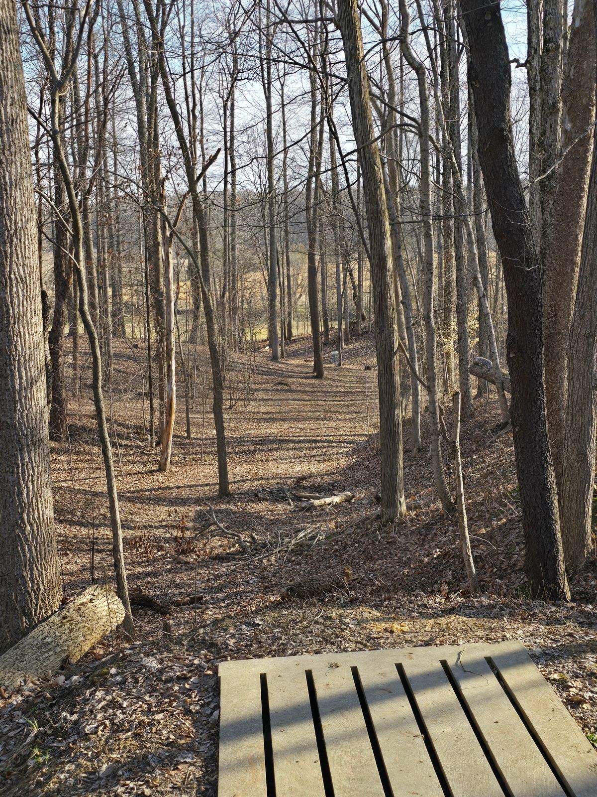13 Down the ravine.