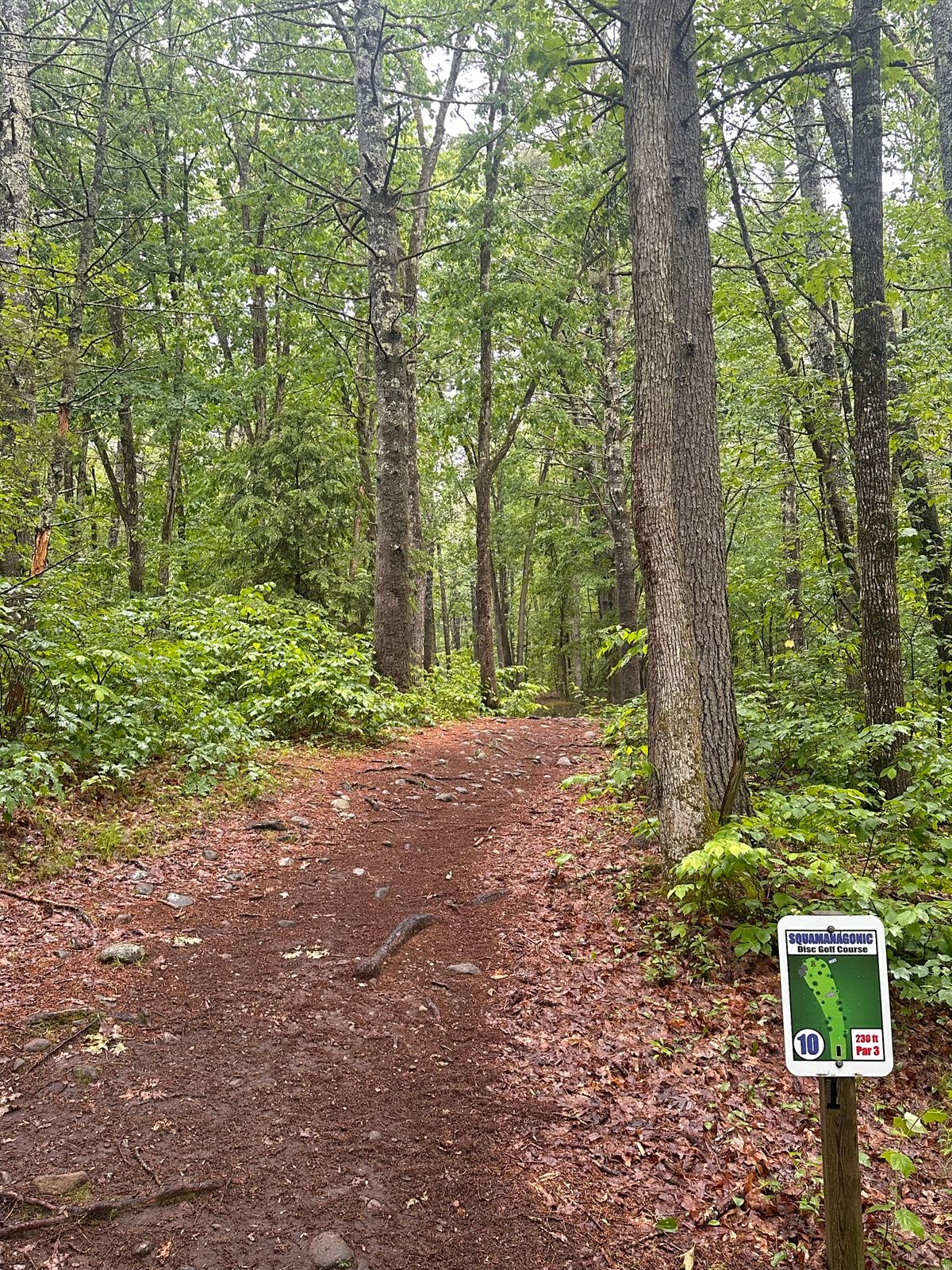 Squam hole 10