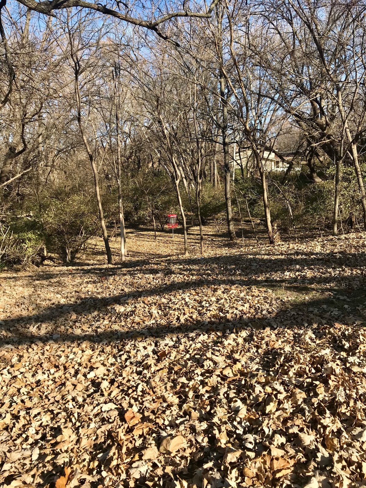 Hole 8 Approach