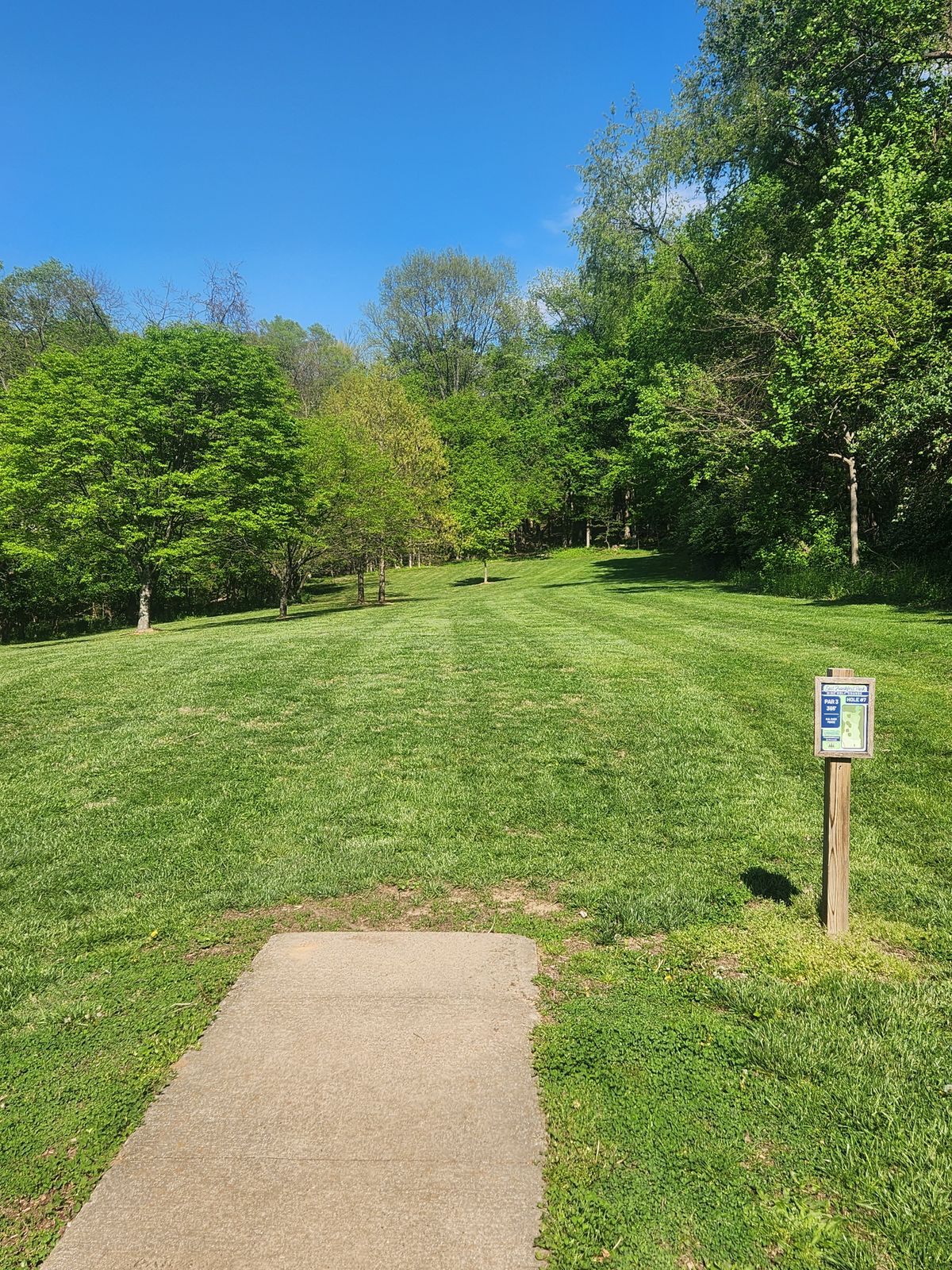 Hole 7