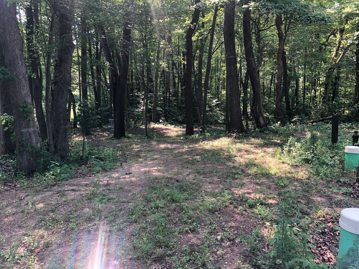 Hole 2 fairway