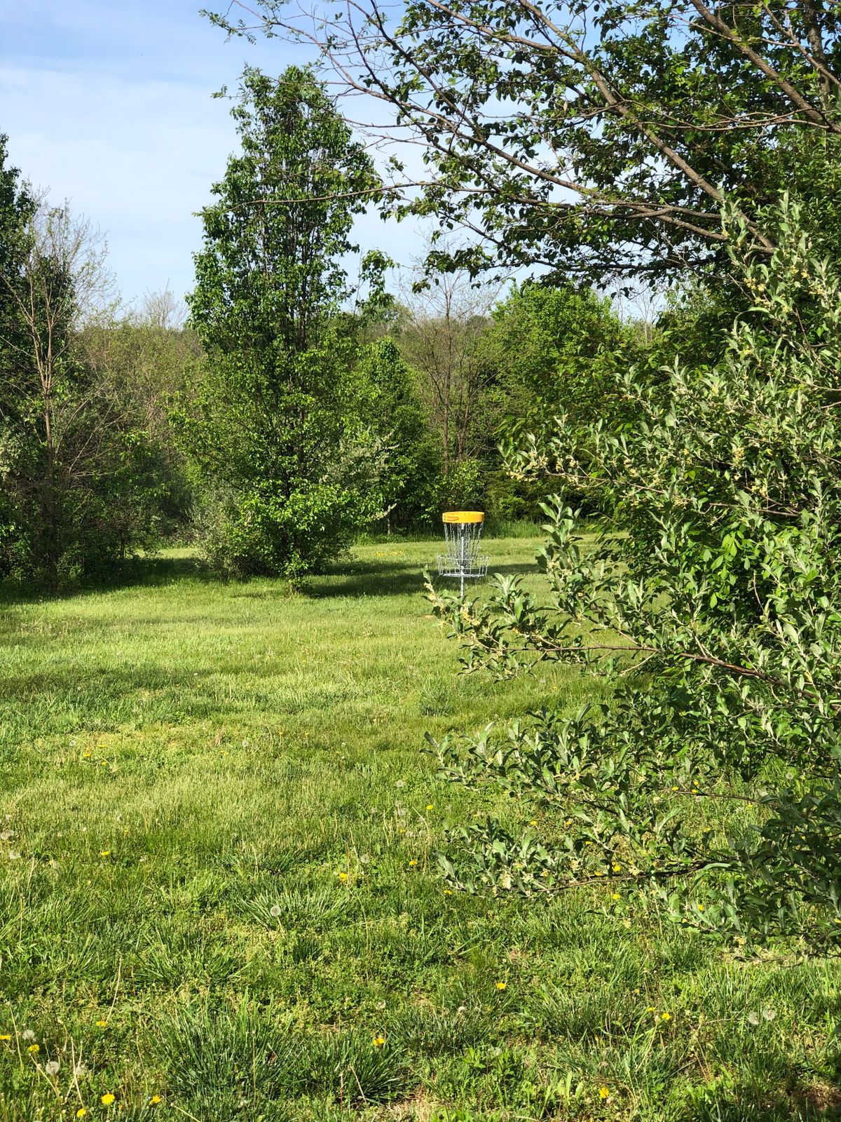 Hole 2