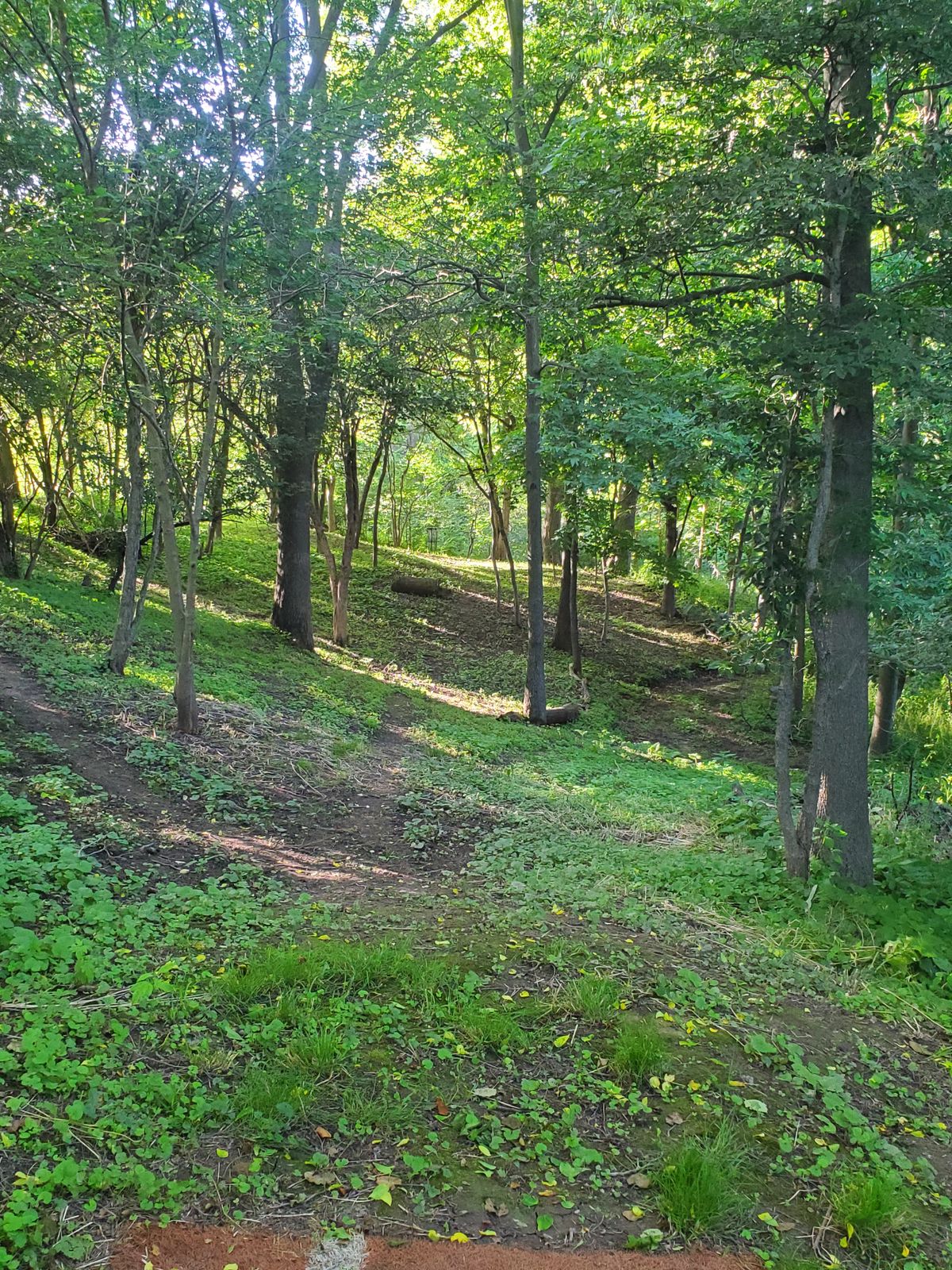 Hole 1B