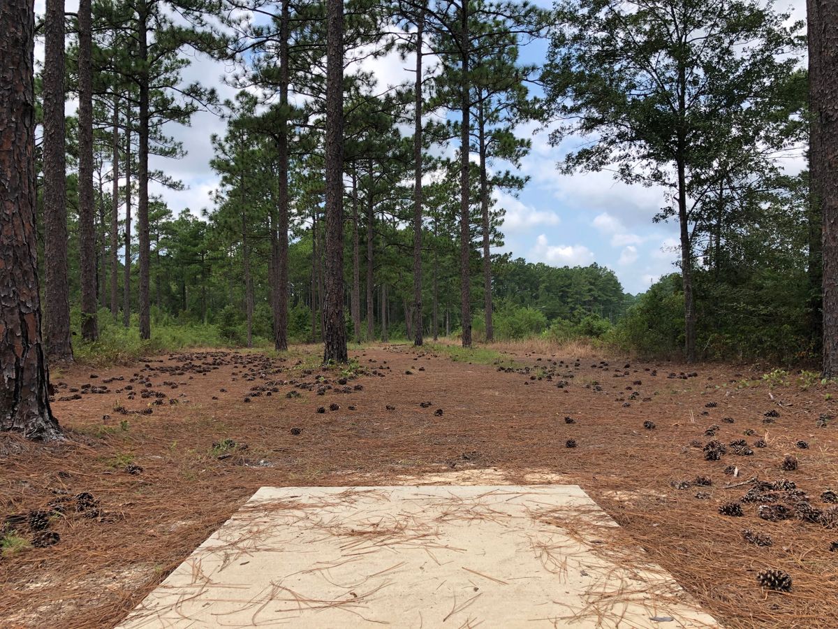 Hole 12 - Blue
