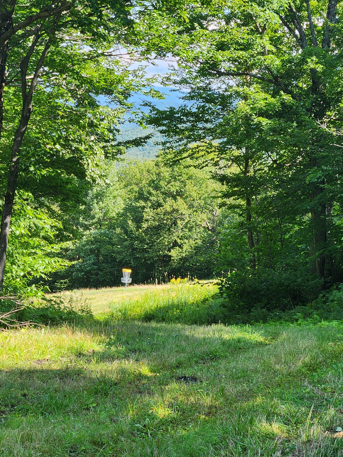 Hole 13 from the corner