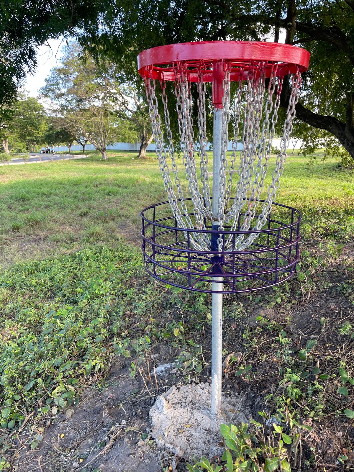 Hole 5 Basket