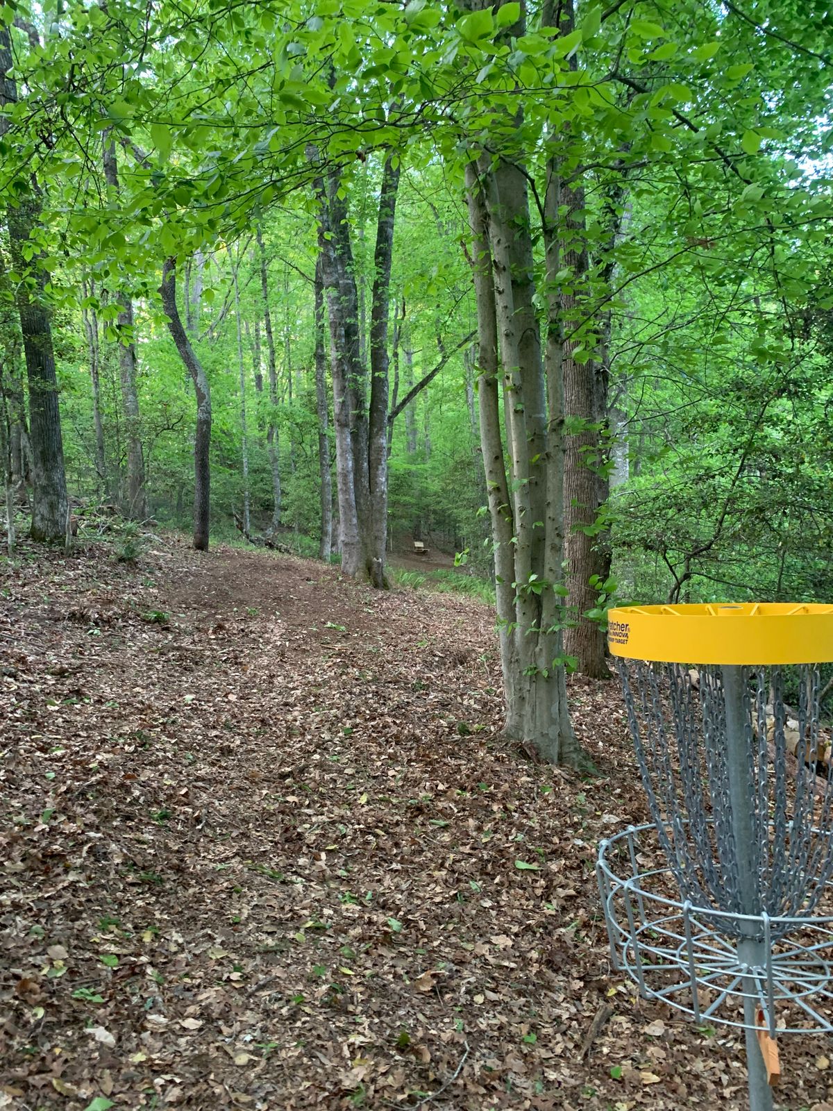 Basket Hole #8