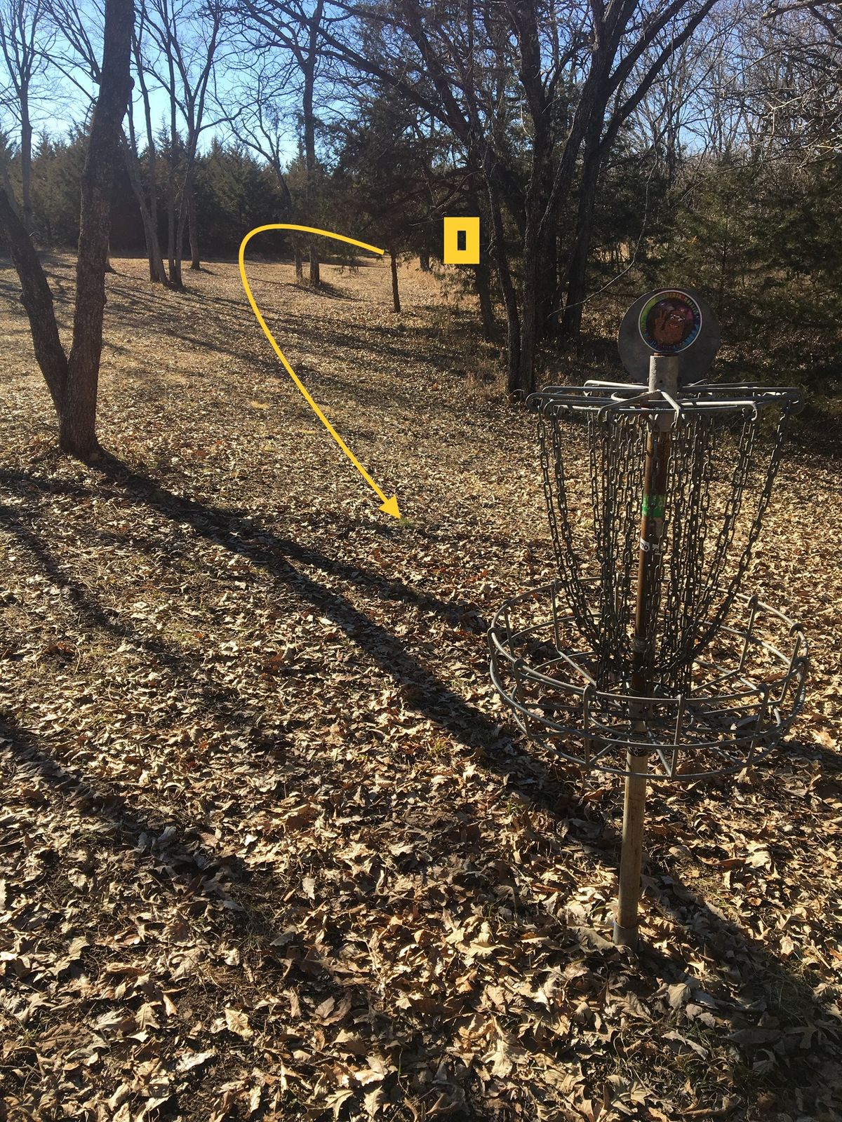 Hole 4 Basket to Tee