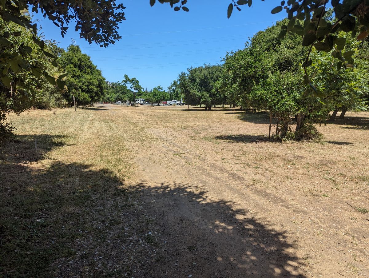 Hole 1 fairway, looking back from 2nd tee