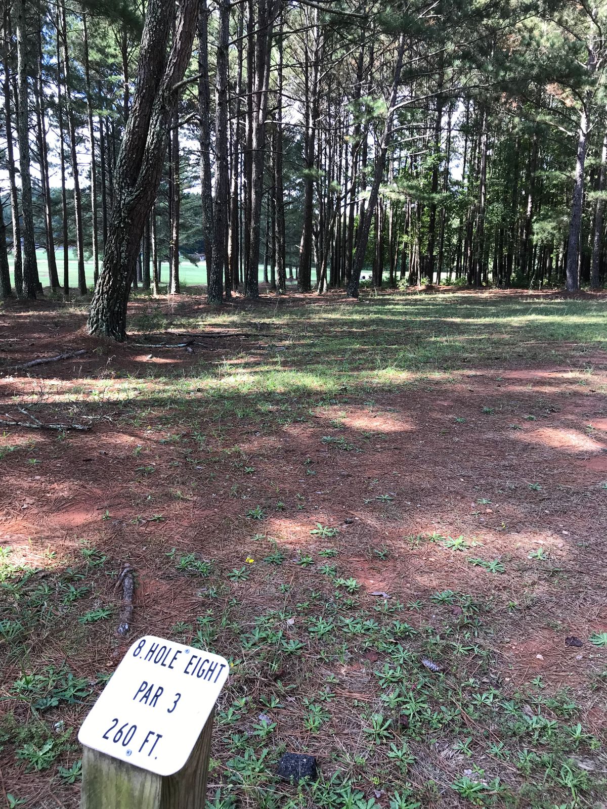 Hole 8 is a dog leg left with an ample fairway through the trees. Find a good line and rip it.