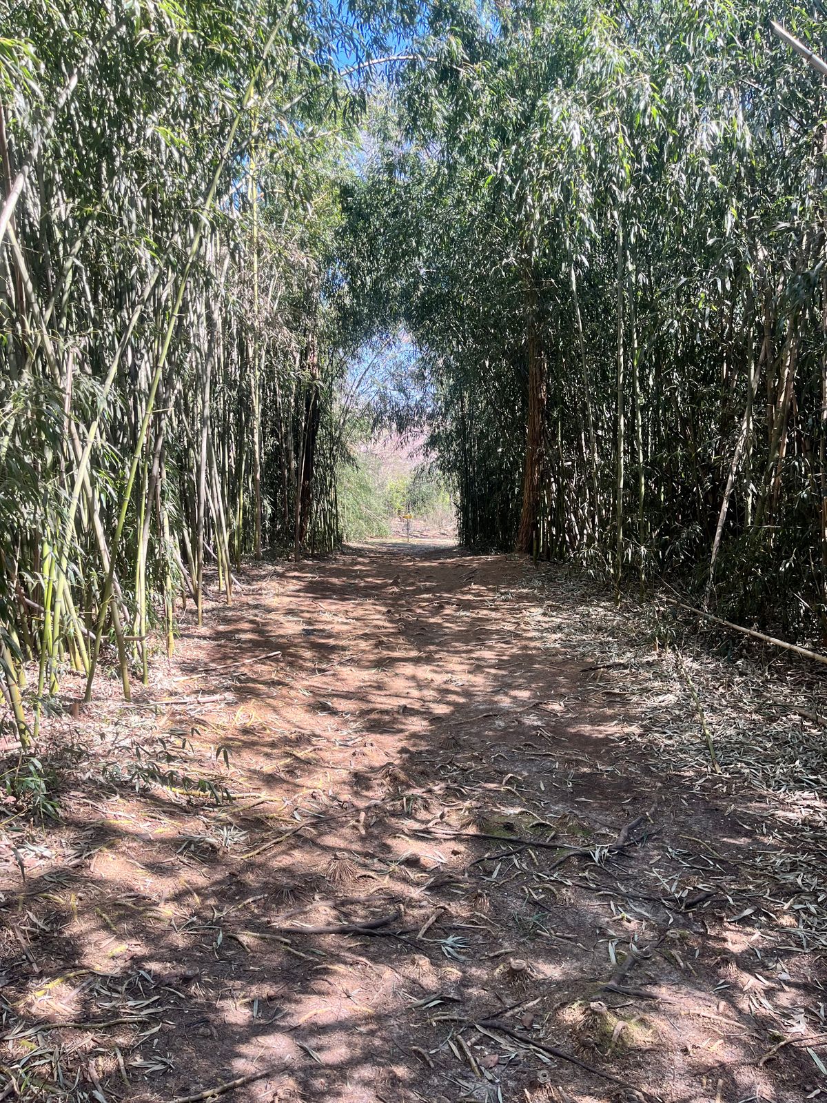 Tunnel shot on hole 1.