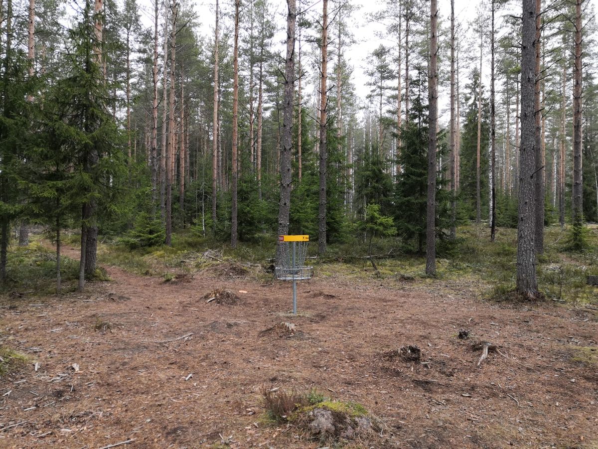 10. väylä.