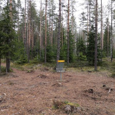 10. väylä.