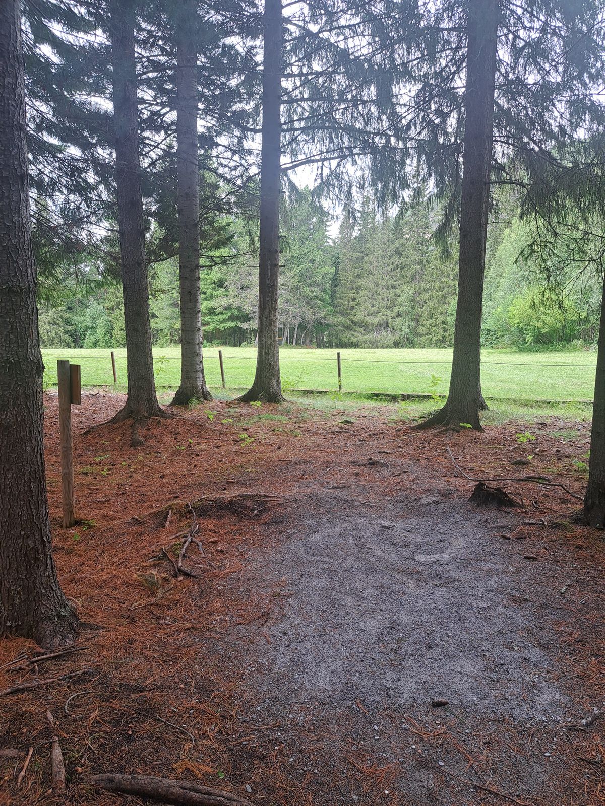 Tee 5
