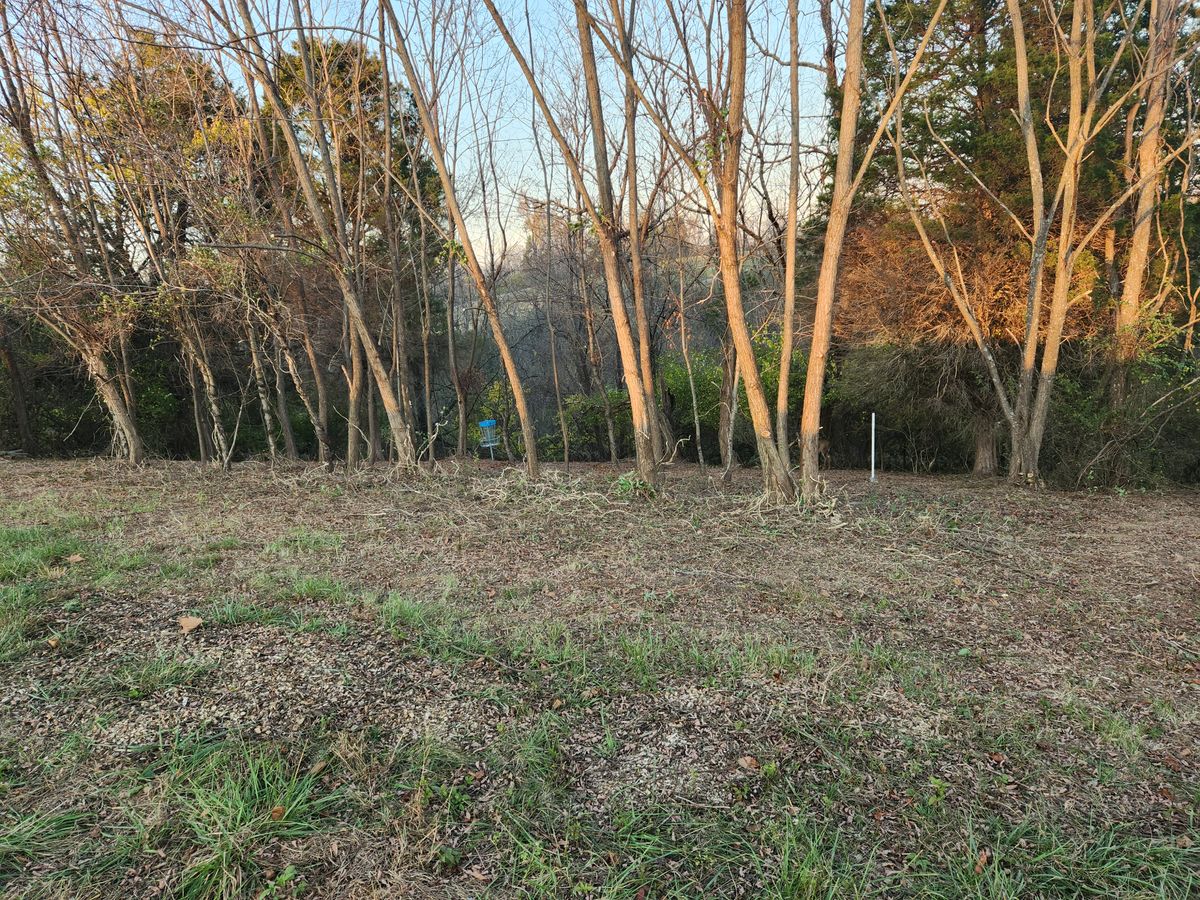 Hole 7 cleaned up
