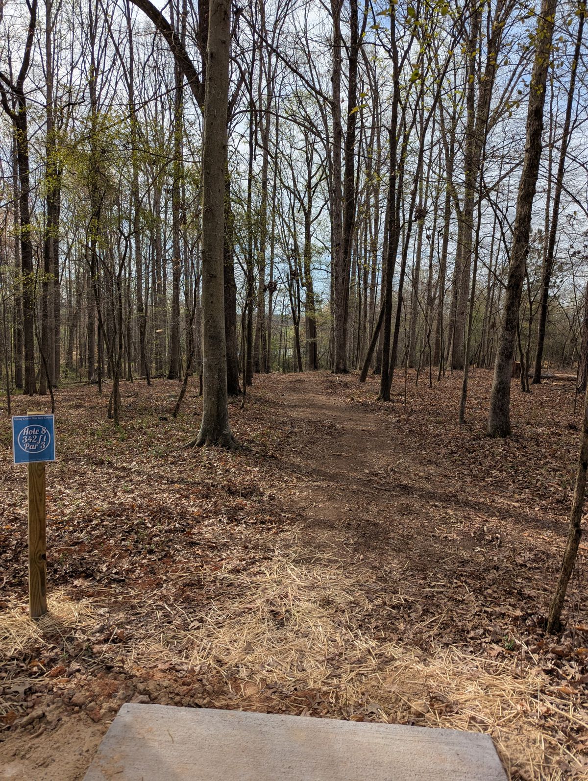 Hole 8