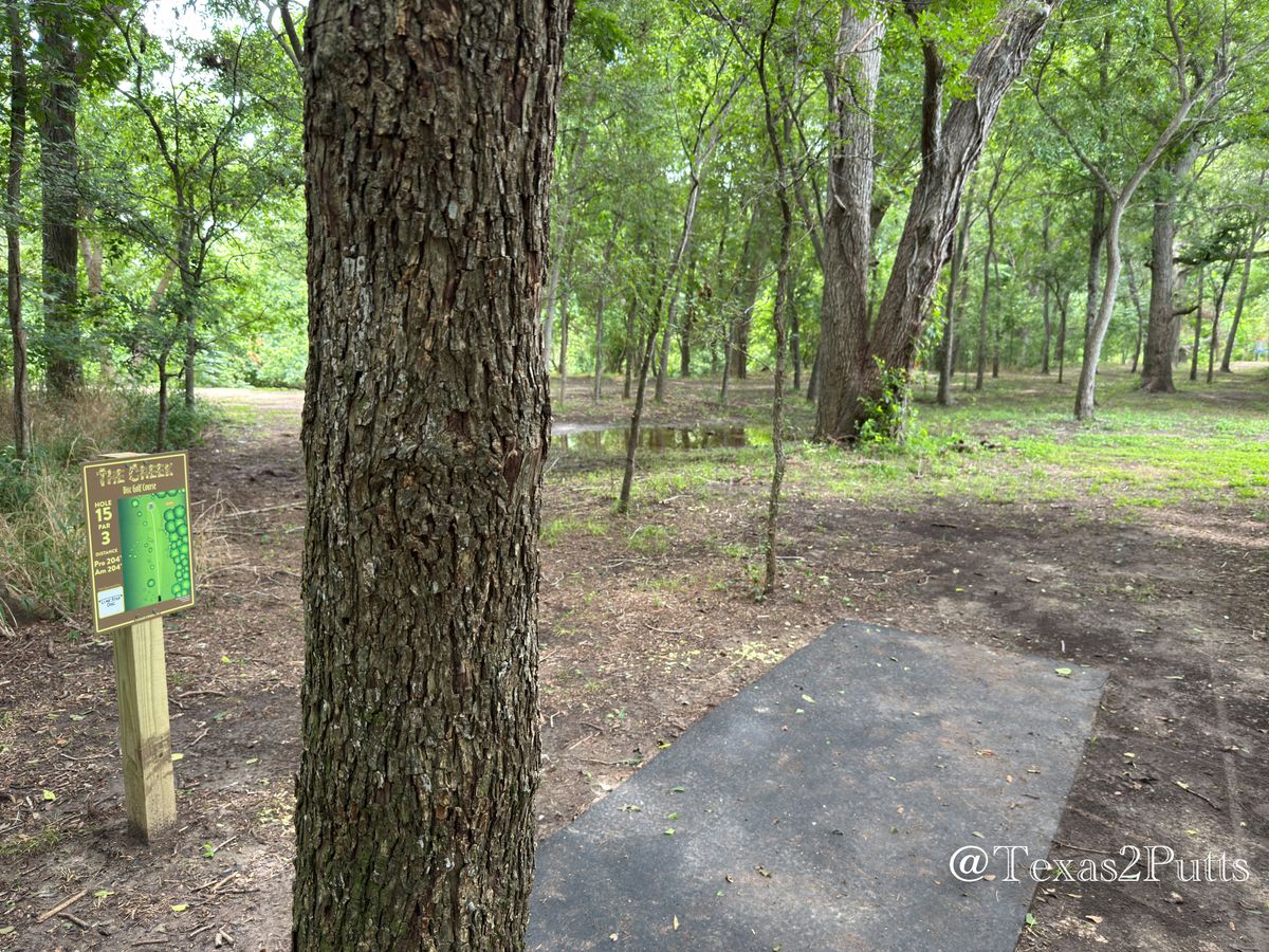 Hole 15
