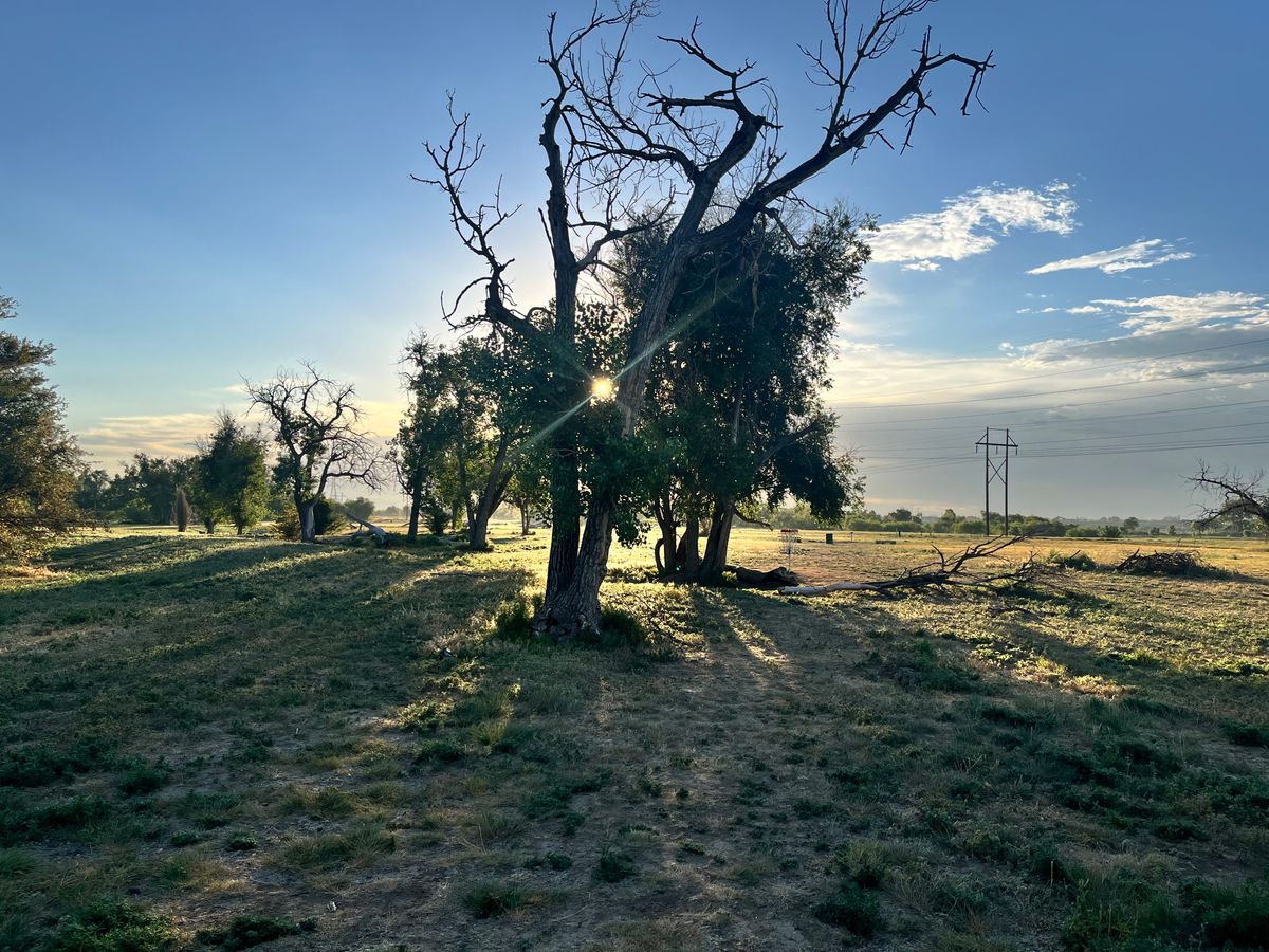 Hole 7