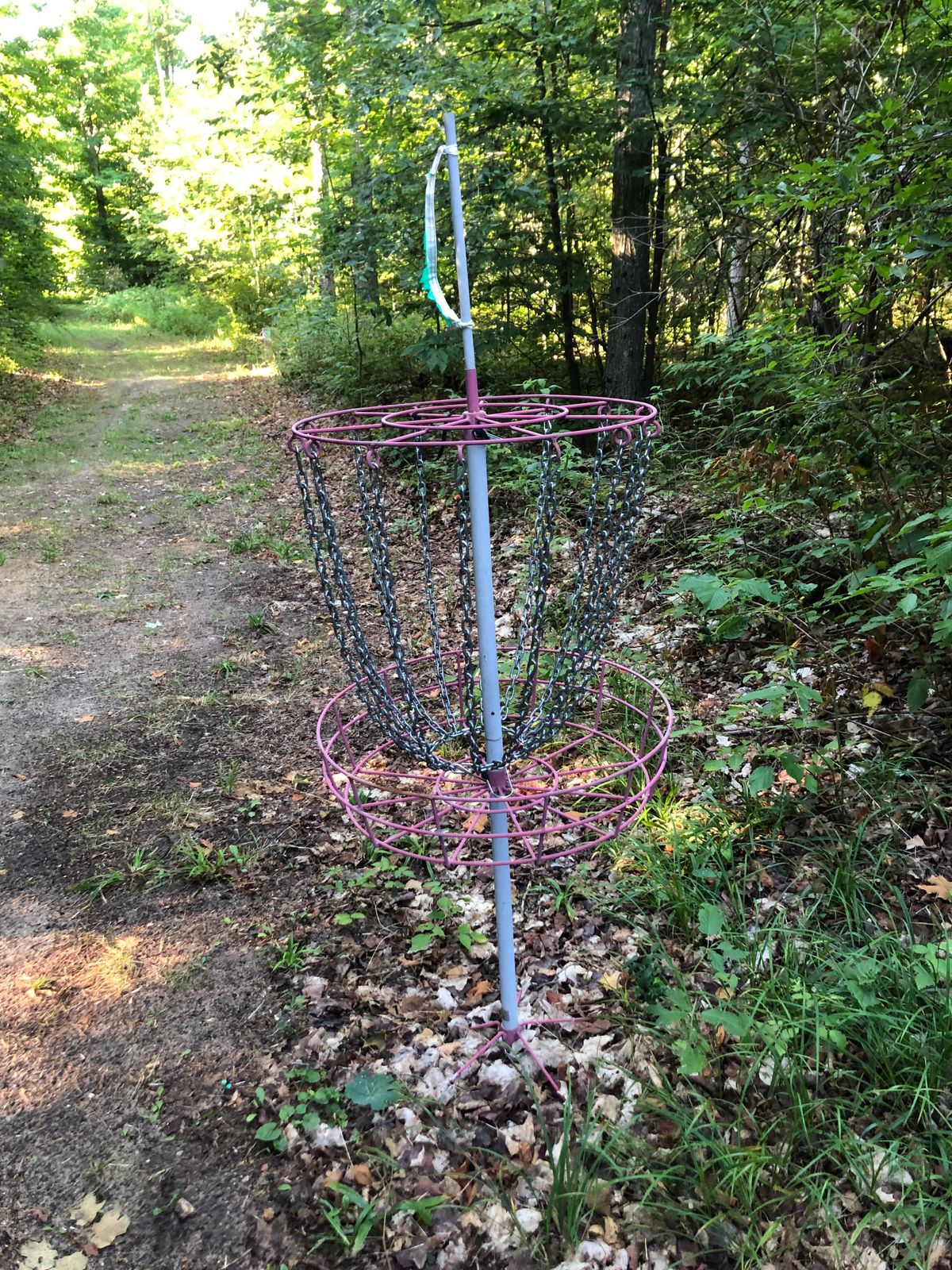 Not an object course. Every hole utilizes this type of basket. No idea what it is.