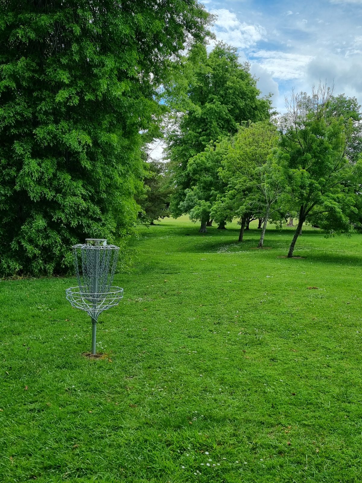 Hole 5 basket looking back down fairway toward tee