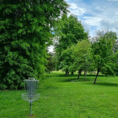 Hole 5 basket looking back down fairway toward tee