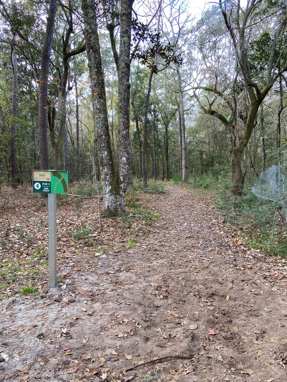 Hole 4