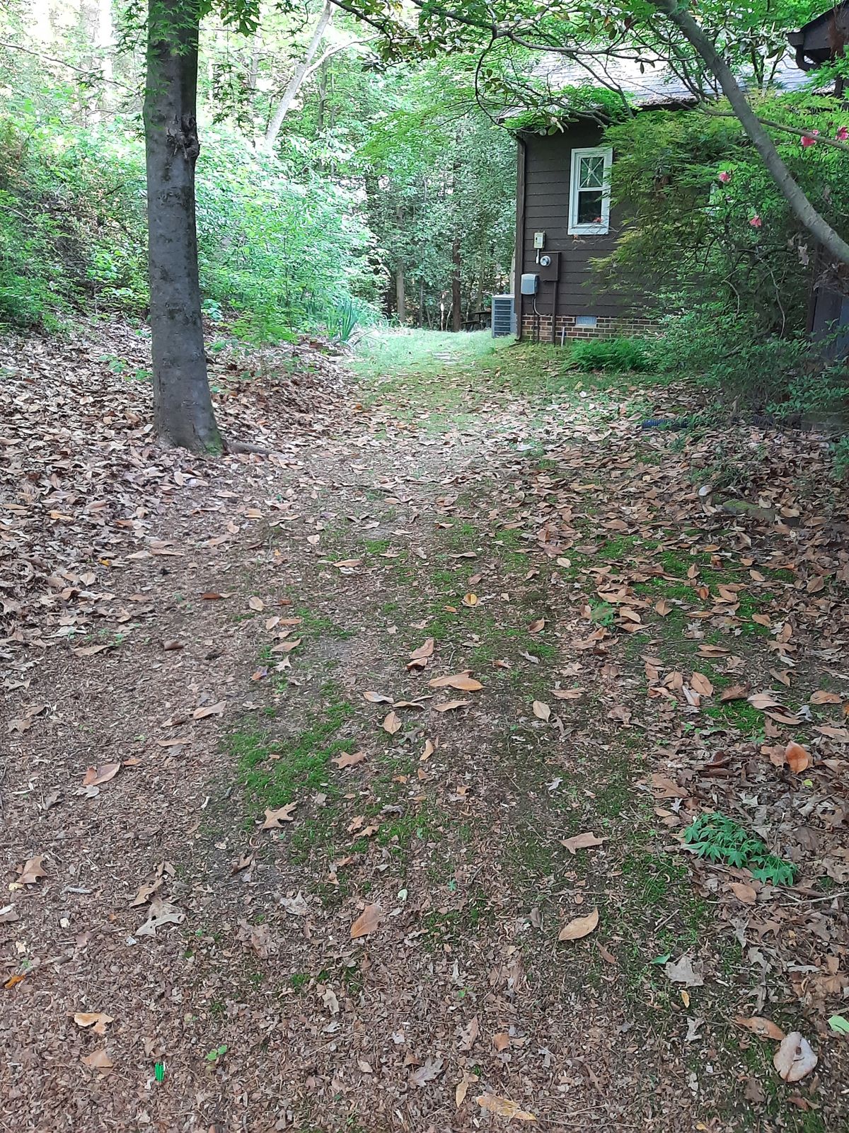 Hole 22 Blue Tee