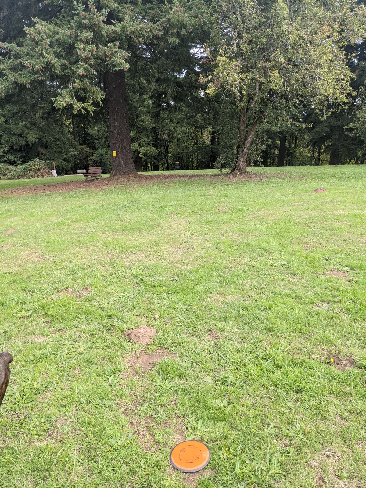 Hole 8