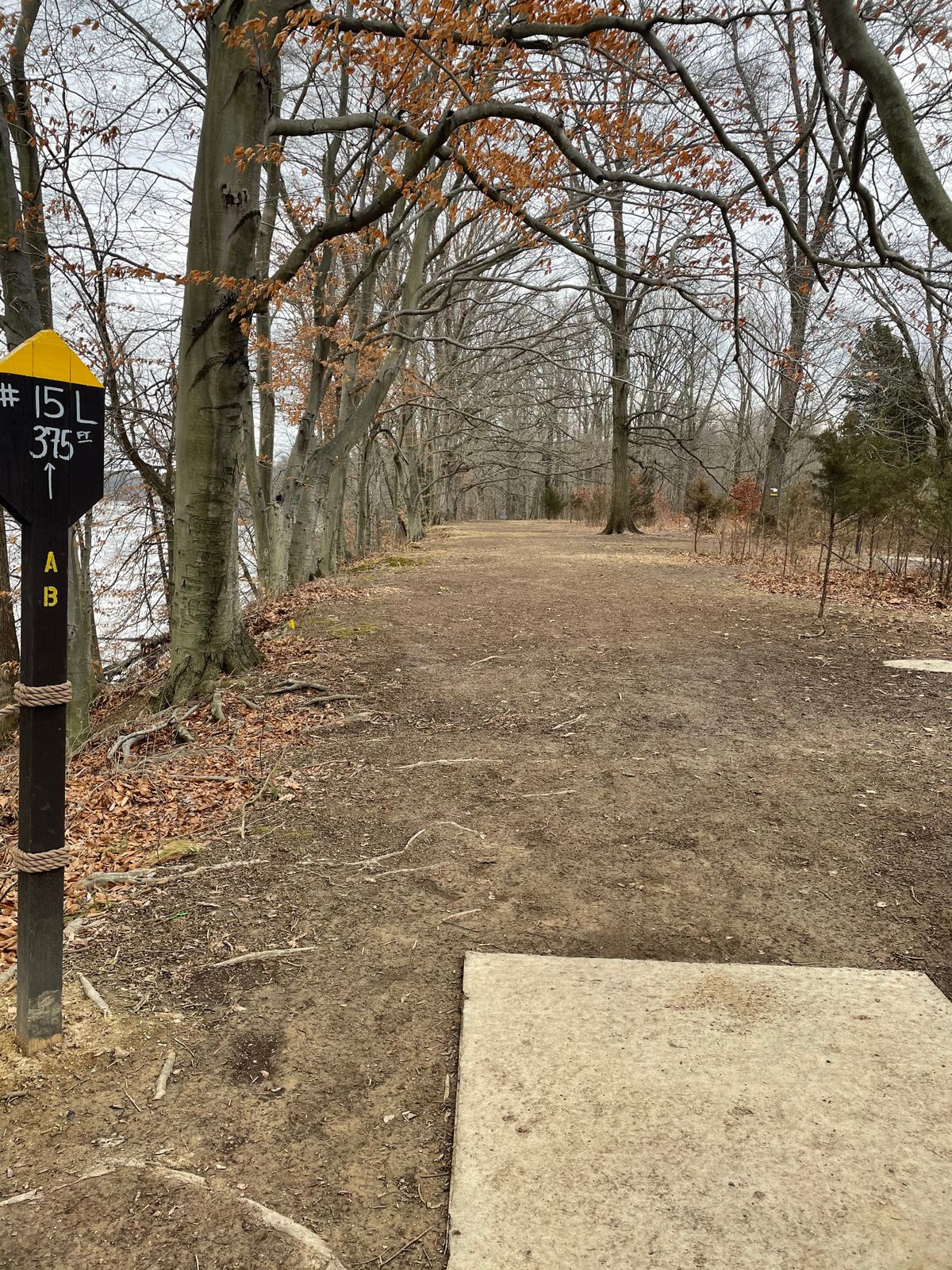 Hole 15 long. Such a demanding tee shot.