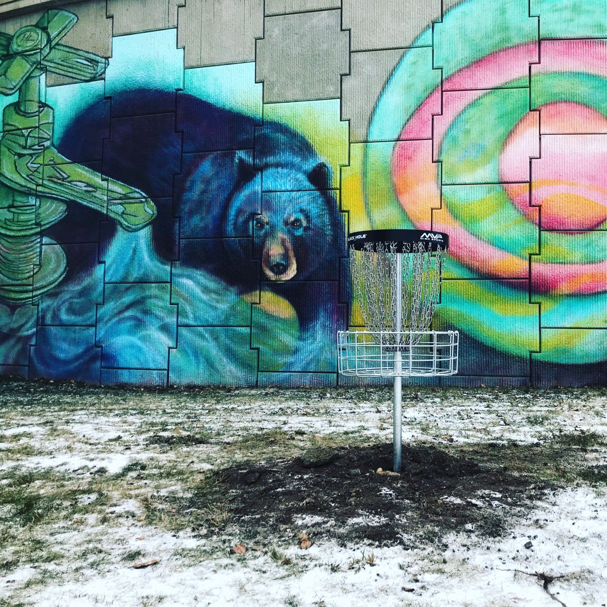 Freshly installed #2 basket Nov 2017