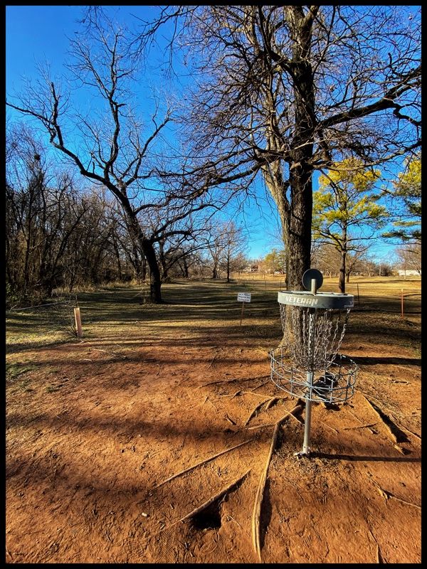 #11 green looking back to Tee