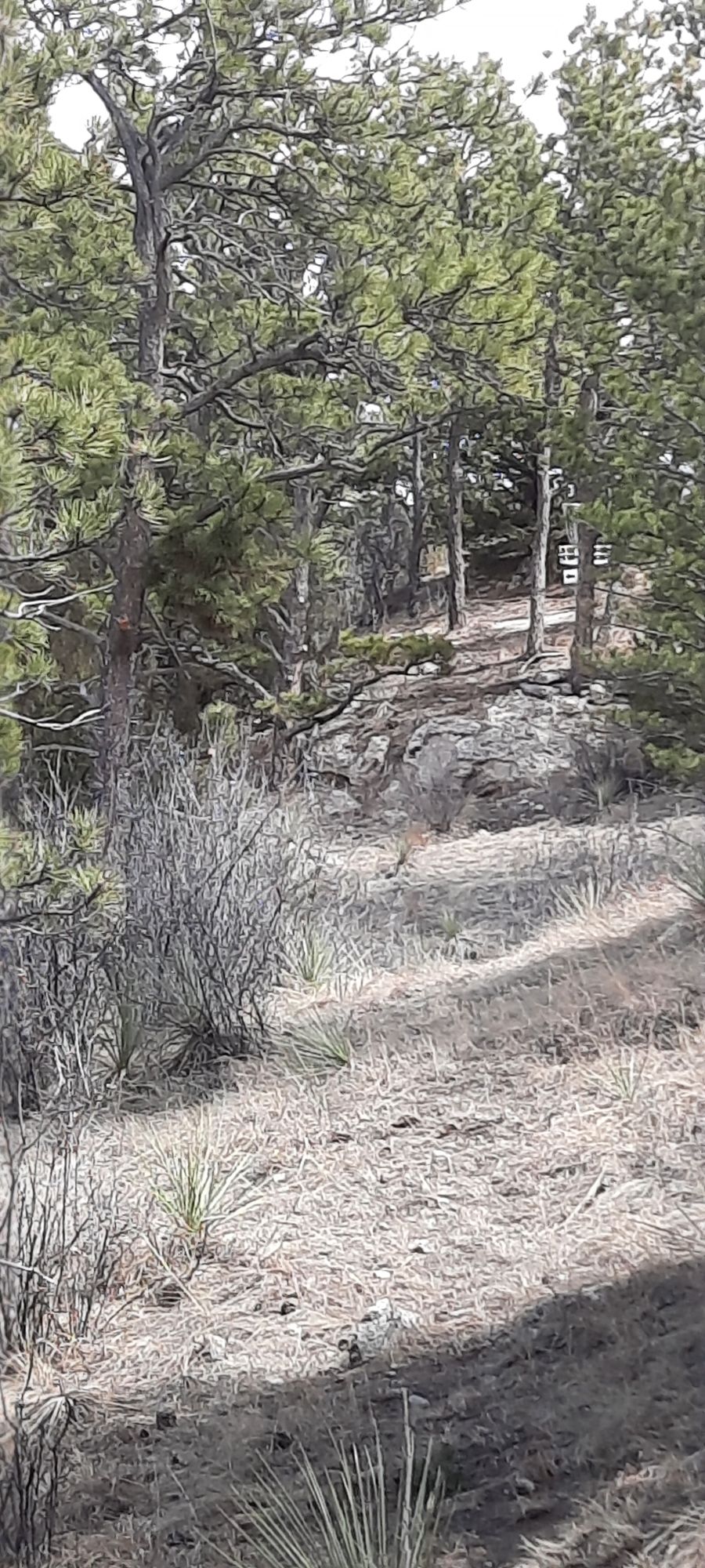 Hole 3 from tee
